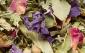 Tisane des Merveilles