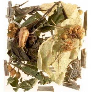 Tisane du Berger boîte de 25 sachets