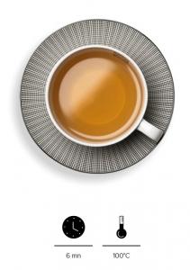 Tisane Nuit à Versailles