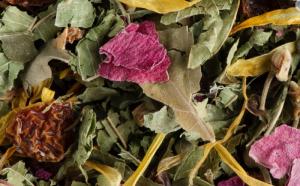 Tisane Nuit à Versailles