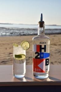 Pack 2 Gin H2B