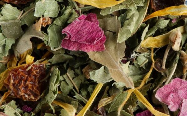 Tisane Nuit à Versailles